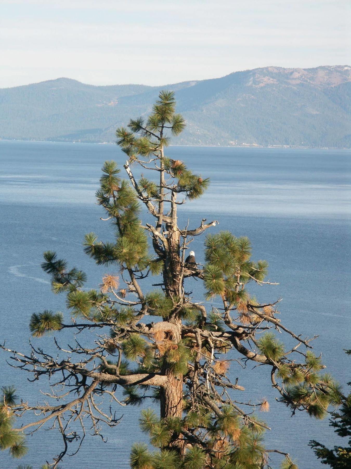 Where Eagles Fly Bed & Breakfast Elk Point 外观 照片